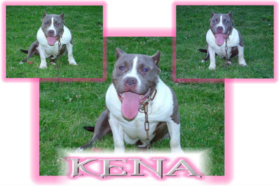 kena002.jpg